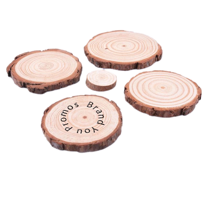 2.4 inch Natural Pine Wood Slices
