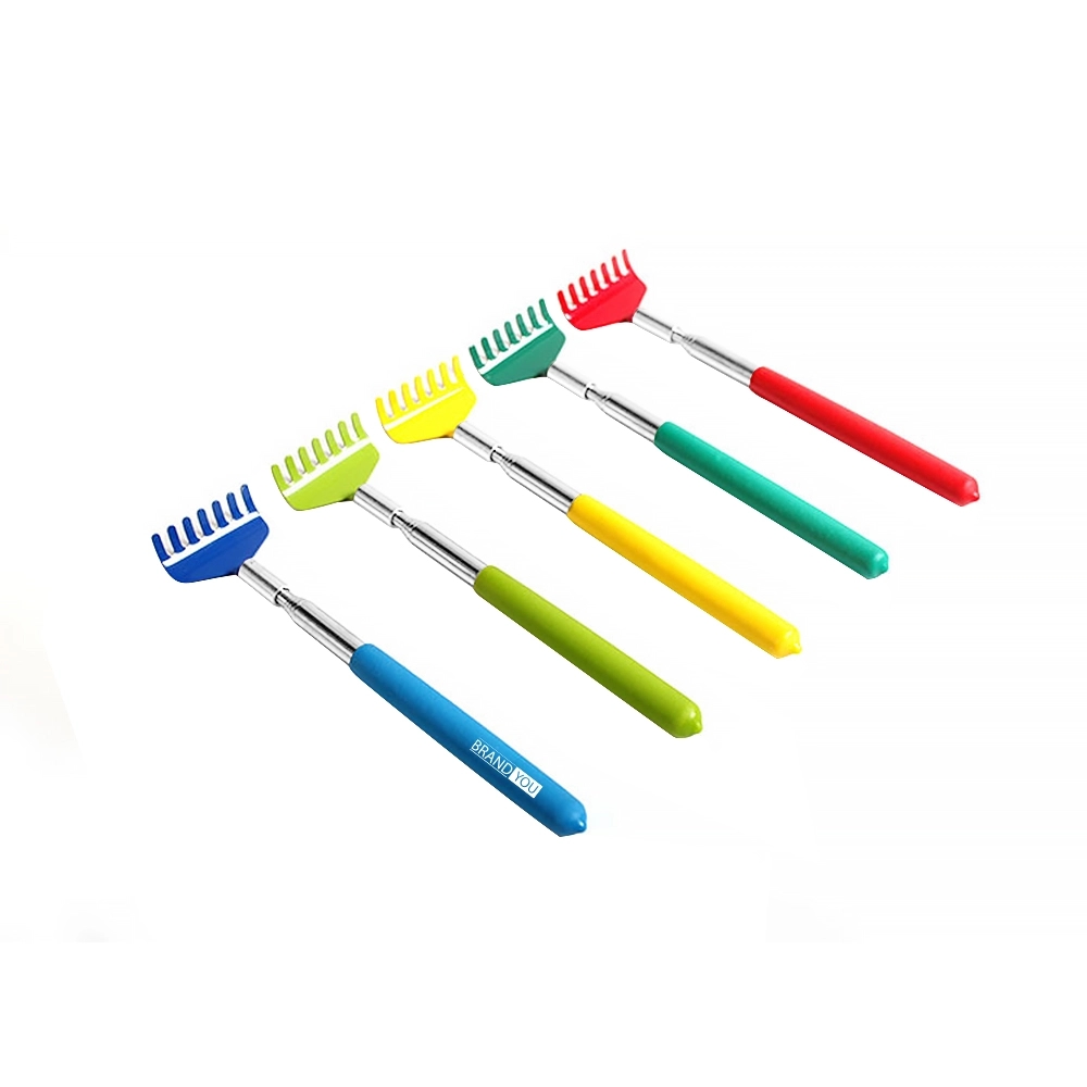 Stainless Steel Scratcher with Extending Handle