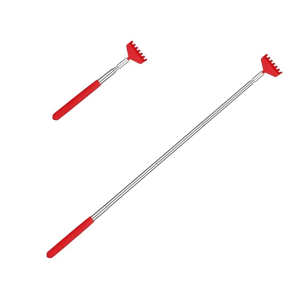 Stainless Steel Scratcher with Extending Handle