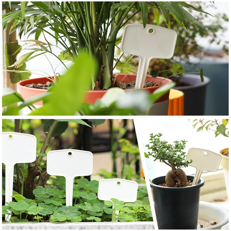 Thick Plastic Plant Labels Succulent Garden Flower Tags
