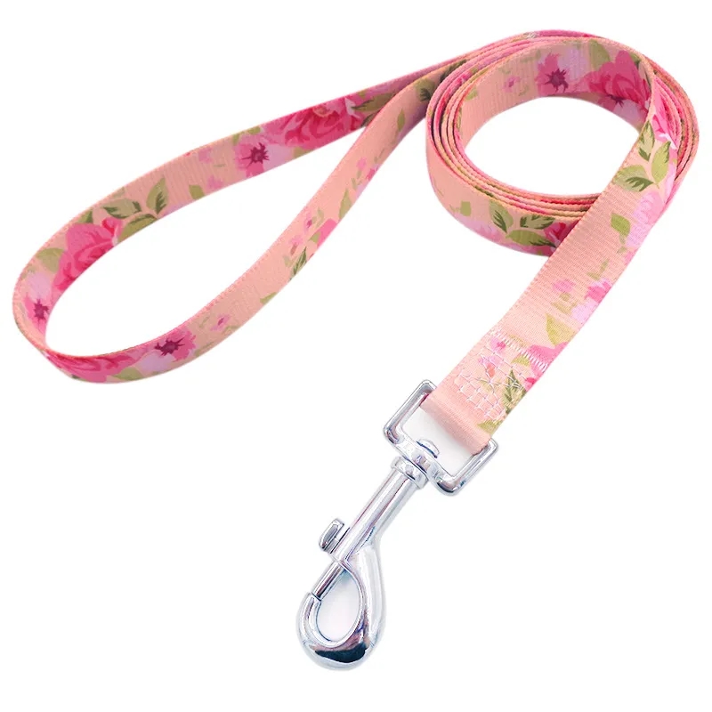Pet Dog Leash with Easy-to-Use Collar Hook