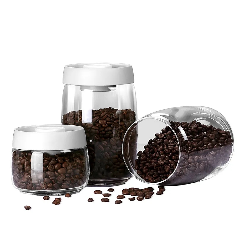16 oz Premium Vacuum-Sealed Glass Storage Container