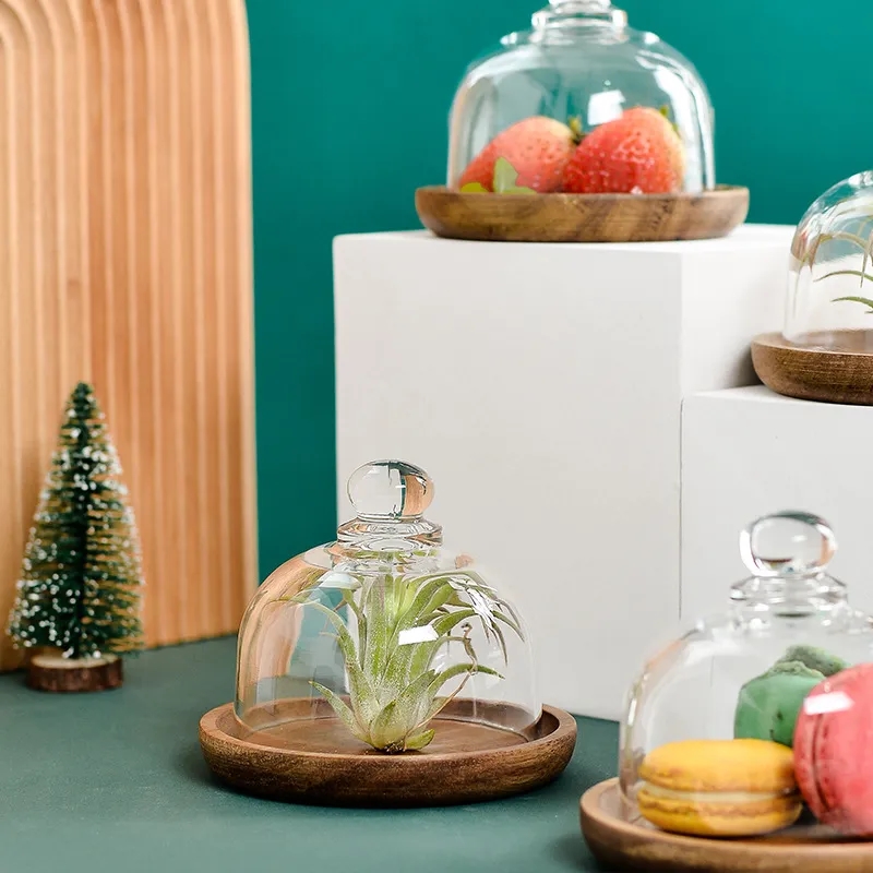 Charming Cloche 4-inch Mini Glass Dessert Dome w/ Wood Base