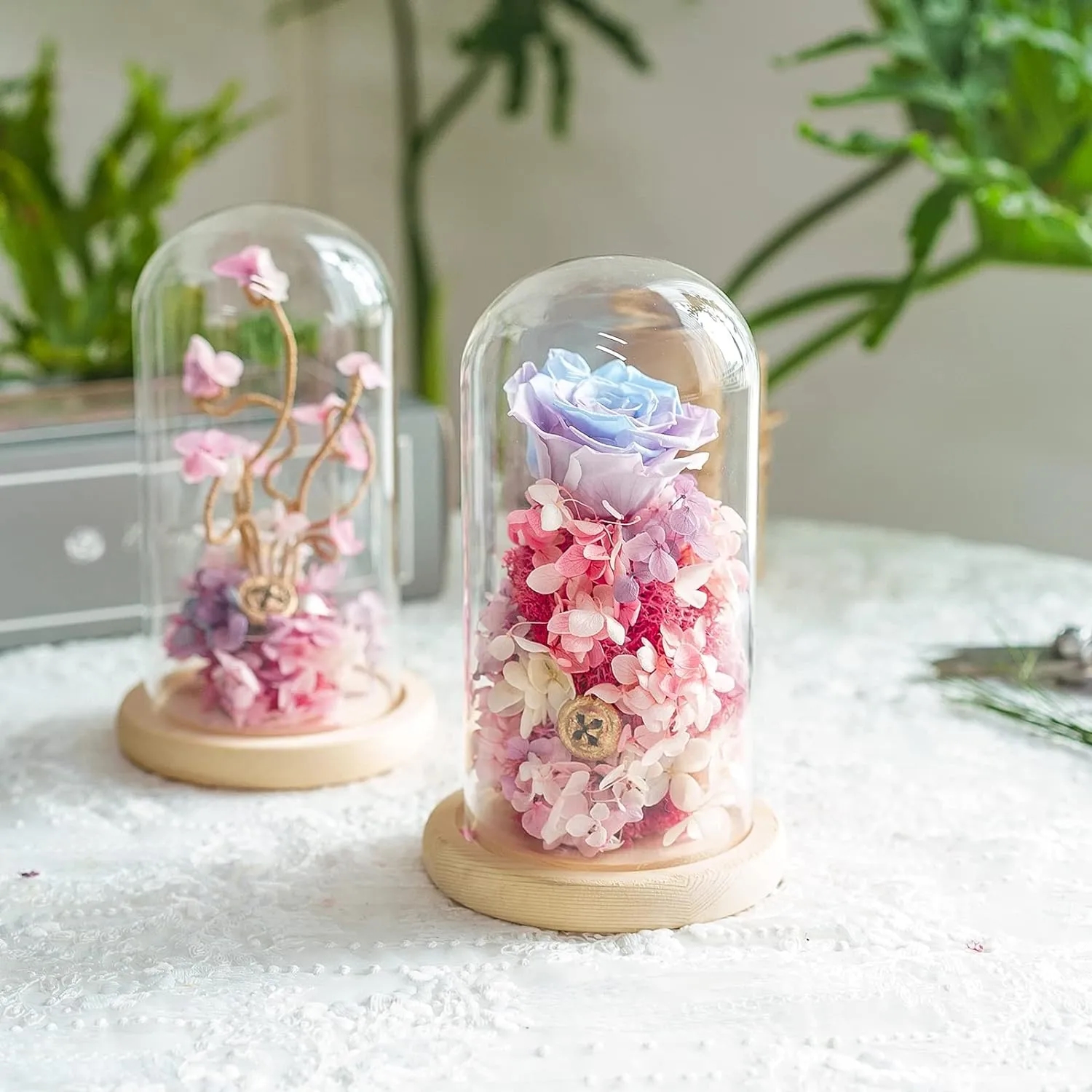 7x4" Glass Cloche Dome with Wood Base for Decorative Display